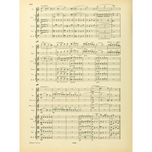 Instrumentationslehre, Von Hector Berlioz, Erganzt Und Rev, Von Richard Strauss 10 Posteri
