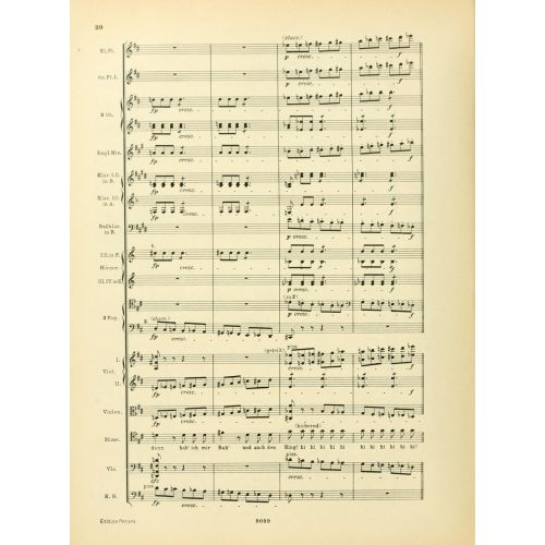 Instrumentationslehre, Von Hector Berlioz, Erganzt Und Rev, Von Richard Strauss 16 Posteri