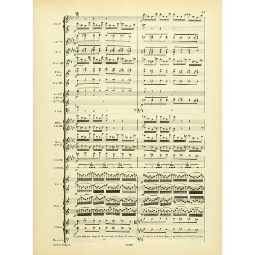 Instrumentationslehre, Von Hector Berlioz, Erganzt Und Rev, Von Richard Strauss 23 Posteri