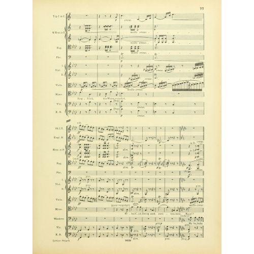 Instrumentationslehre, Von Hector Berlioz, Erganzt Und Rev, Von Richard Strauss 5 Posteri