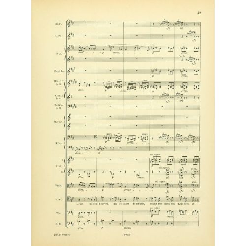 Instrumentationslehre, Von Hector Berlioz, Erganzt Und Rev, Von Richard Strauss 15 Posteri