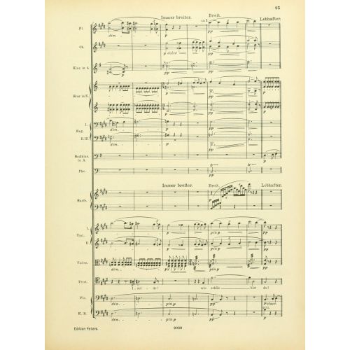 Instrumentationslehre, Von Hector Berlioz, Erganzt Und Rev, Von Richard Strauss 24 Posteri