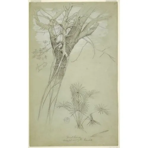 Parasite Vine And Palm Poster The Parasite Vine and Palm Poster features a striking image of the intertwined relationship between
