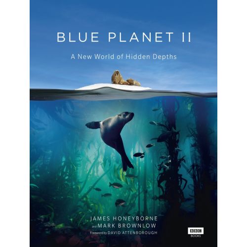 Blue Planet II Posteri