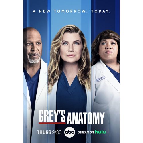 Grey's Anatomy 2 Poster
