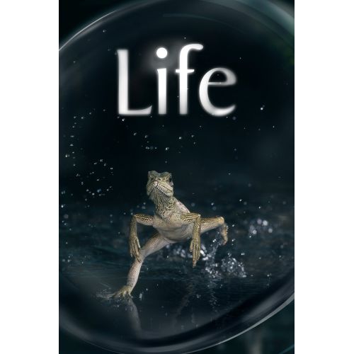 Life Poster Life Poster