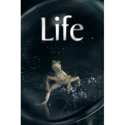 Life Poster  TV Series Posters