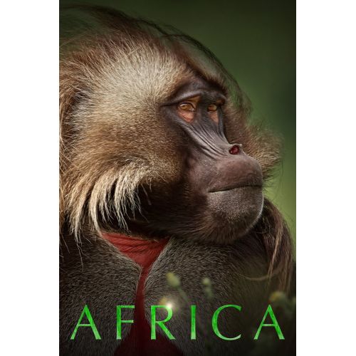 Africa Posteri