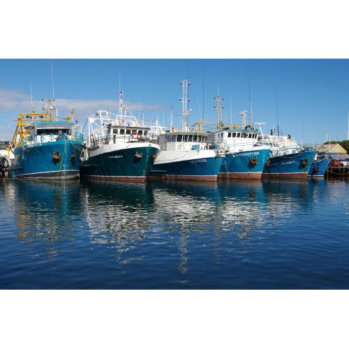 Fishing Boats In The Harbor - Fremantle Poster The Fishing Boats In The Harbor - Fremantle Poster features a picturesque scene of
