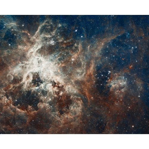 Spider Nebula Poster Spider Nebula Poster