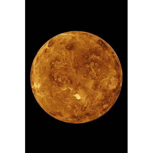 Venus Poster