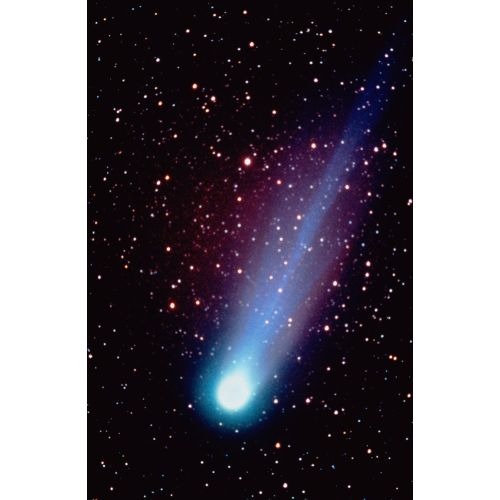 Comet Poster Comet Poster