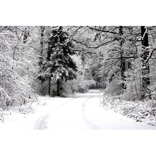 Snowy Forest Road Landscape Poster Snowy Forest Road Landscape Poster