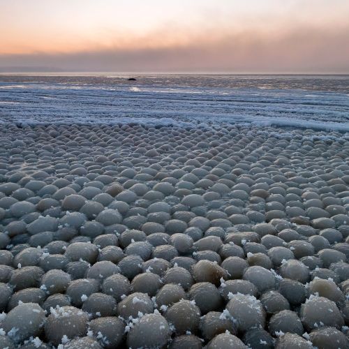 Frozen Balls On Ice Natural Poster The Frozen Balls On Ice Natural Poster features a stunning close-up view of frozen balls on