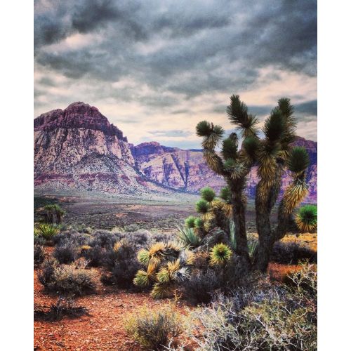 Nevada Desert Poster The Nevada Desert Poster features dramatic landscapes, barren terrain, and striking sunsets. This poster