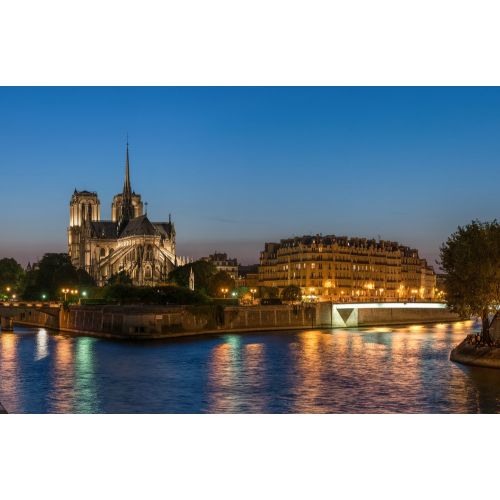 Notre Dame Katedrali Posteri