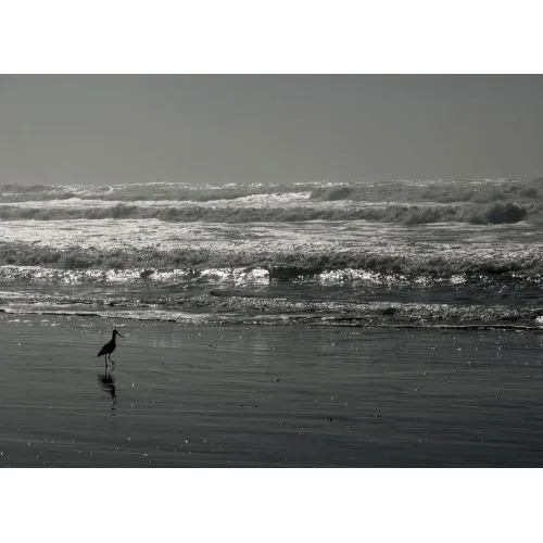 Ocean Beach Poster The Ocean Beach Poster features stunning imagery of the beautiful coastline, crashing waves and sandy shores.
