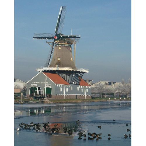 De Salamander Hollanda Posteri