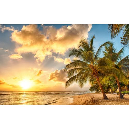 Palmiyeli Kumsal Deniz Manzarası Posteri Palmiyeli Kumsal Deniz Manzarası Posteri