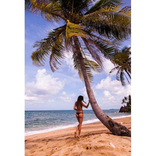 The Palm Beach Seascape Poster 3