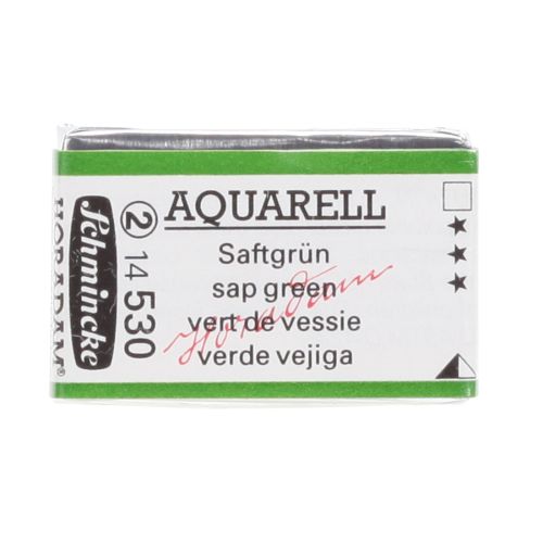 Schmincke H Aquarell 1/1 Tab Sap Green 530 Suluboya Schmincke H Aquarell 1/1 Tab Sap Green 530 Suluboya