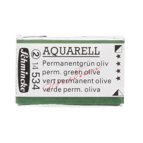 Schmincke H Aquarell 1/1 Tab Permanent Green Olive 534 Watercolor Watercolors Schmincke H Aquarell 1/1 Tab Permanent Green Olive 534 Watercolor Watercolors Paint 1/1 tab Horadam Aquarell Permanent Green