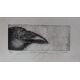 Crow Series, Merve Ozbek  Woodcut Paintings