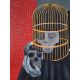 Eternal Captivity, Irem Satilmis Oil Paint Eternal Captivity, Irem Satilmis İrem Sold / Eternity Enslaved / Oil on canvas / 2023 / 100x100 cm From time to time, we feel