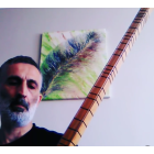 Olgun