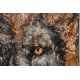 Aslan, YevhenIIa Potapova TUVAL, AKRİLİK BOYA, EN MODERN MULTİKATLI TEKNİK, DOKULU, ÇERÇEVESİZ, ASKISIZ,KENARLARI BOYALI