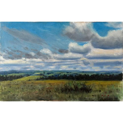Fields, Aytaç Dutkin SHIPPED AS OIL PAINTING ON CANVAS - ROLLED UP Oil Paint Paintings