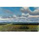 Fields, Aytaç Dutkin SHIPPED AS OIL PAINTING ON CANVAS - ROLLED UP Oil Paint Paintings