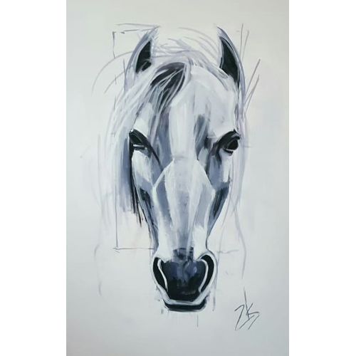 Miss Horse, Zeliha Sayili Kucuk Miss Horse, Zeliha Sayili Kucuk