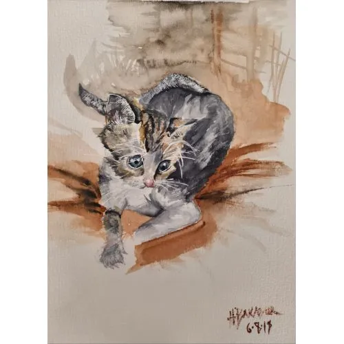 Baby Cat, Hülya Bakadur