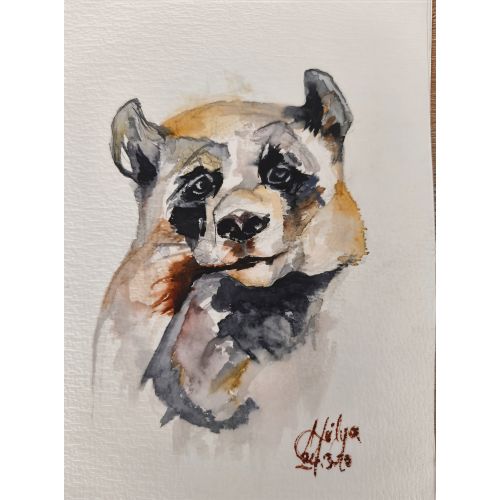 Tatlı Panda, Hülya Bakadur SULU BOYA  Suluboya Orijinal Tablo