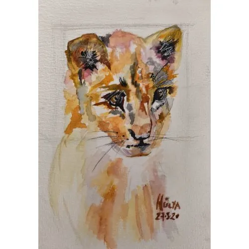 Aslan, Hülya Bakadur