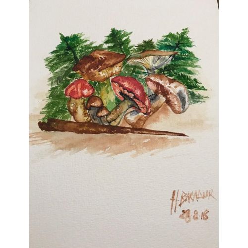 Kırmızı Gölgelik, Hülya Bakadur Kırmızı Gölgelik, Hülya Bakadur