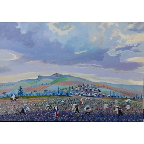 Cotton Pickers, Yavuz Saracoglu Cotton Pickers, Yavuz Saracoglu