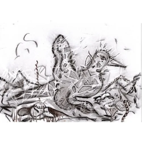 Adsız; Merve Usta 21x29,7 cm Amerikan Bristol üzerine füzen PAREIDOLIA  Kimliksizliğin  çoğulluğunu, yanılsamanın
