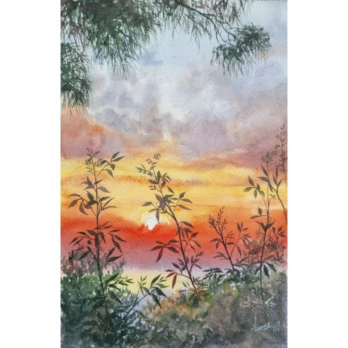 Botanical Sunset, Derya Dere