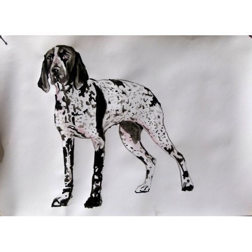German-Shorthaired-Pointer, Soso Kumsiashvili Paintings German-Shorthaired-Pointer, Soso Kumsiashvili acrylic on paper Paintings