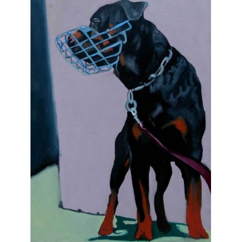 Rottweiler, Soso Kumsiashvili Rottweiler, Soso Kumsiashvili