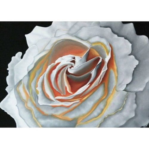 Beyaz Gül Ve Işıkla Gelen Zarafet, Reyhan Garip Yağlıboya Tablo Beyaz Gül Ve Işıkla Gelen Zarafet, Reyhan Garip Yağlıboya Tablo Ocak 2017 Resim kabartma desen beyaz çerçevelidir. Verilen