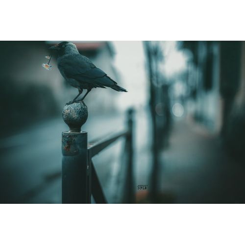 Sonsuz Aşk, Onur Aron eternal love hazırlanma yılı 2018 fotoğraf ve photoshop  İllüstrasyon Orijinal Tablo