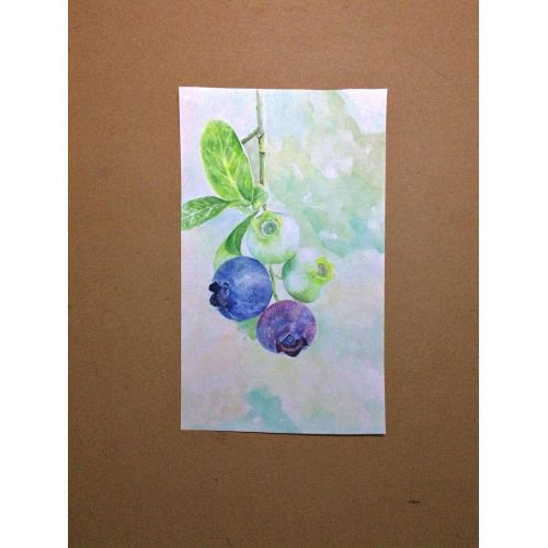 Blueberry, Gizem Ergin