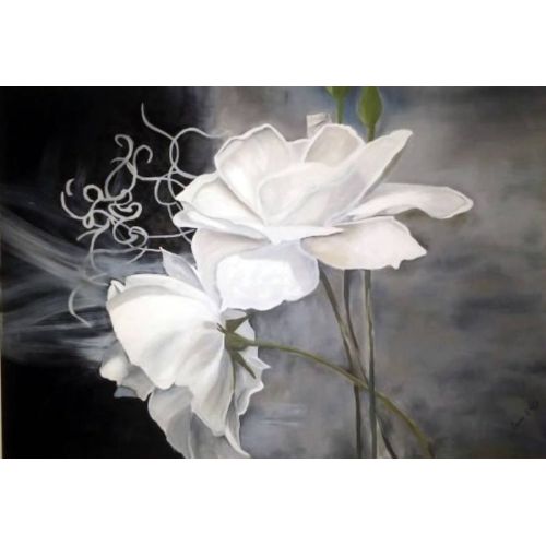 White Rose, Sevim Ekici White Rose, Sevim Ekici