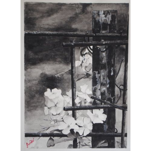 Nature 9, Funda Asik Nature Watercolor Paintings