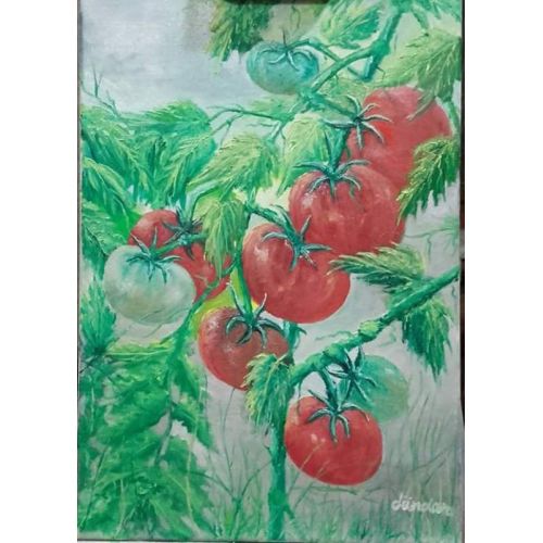 Tomatoes, Cahit Dundar Tomatoes, Cahit Dundar