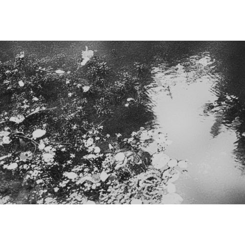 Monochrome 1, Mervecan Saral Monochrome 1, Mervecan Saral