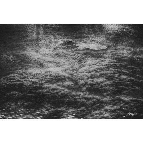 Monochrome 3, Mervecan Saral Monochrome 3, Mervecan Saral